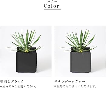 Amazon | カツデン(Katzden) プラントボックス 鉄鉢[テッパチ] 屋外